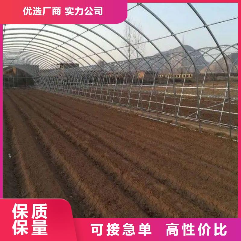 大棚管2_温室大棚管一手货源源头厂家