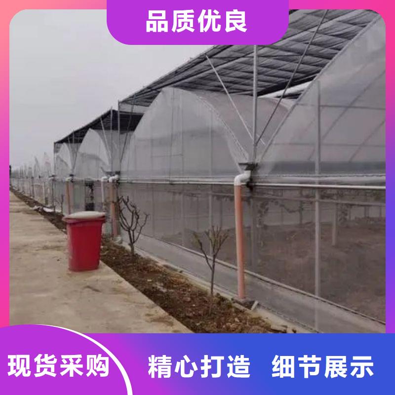 大棚管2温室骨架大棚管让利客户