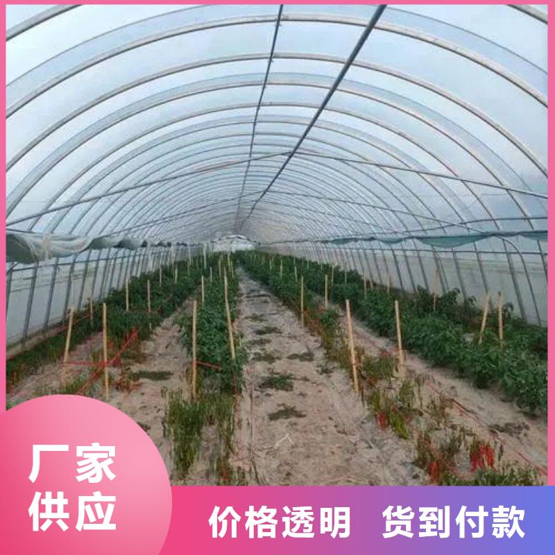 大棚管2铝管  我们更专业