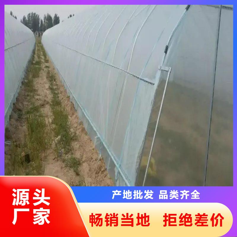 辽中区纹络型玻璃温室择优