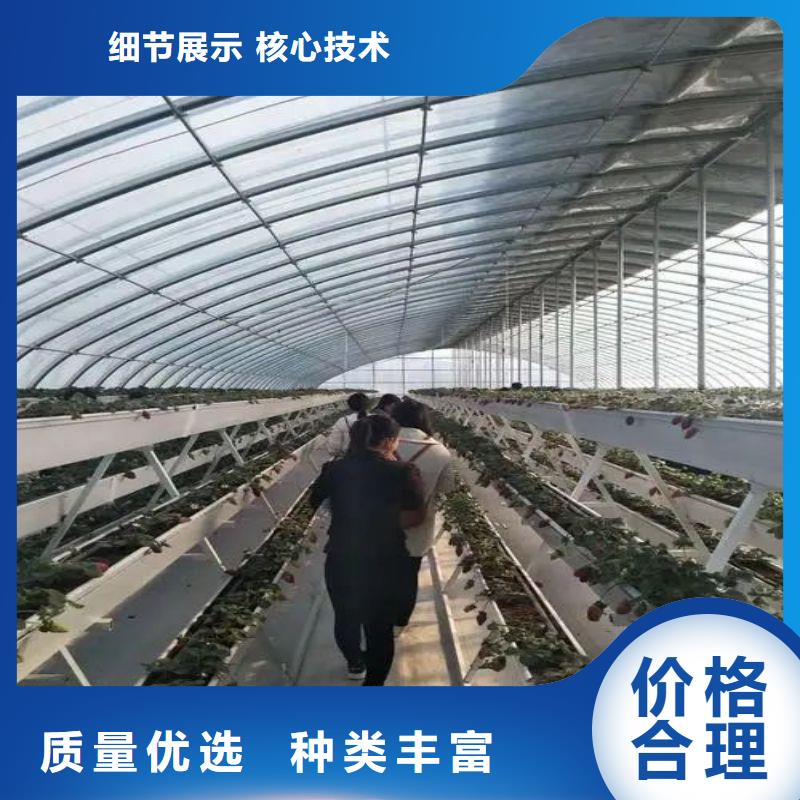 方矩管视频-方矩管|广东省揭阳市|揭东|普宁|汕头|汕尾|中山|江门|梅州|阳江
