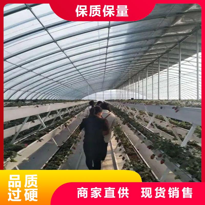 大棚管2_温室大棚管一手货源源头厂家
