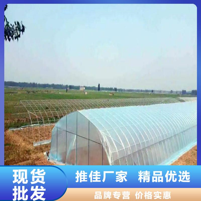 大棚管2大棚管真正的源头厂家