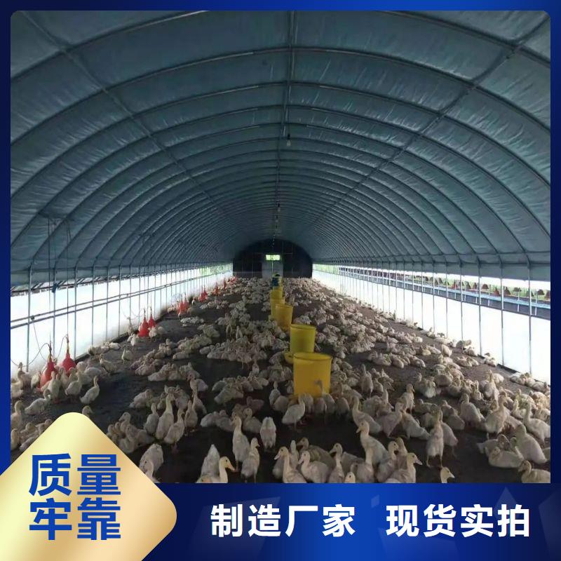 方矩管视频-青海省海南市泽沃方矩管可服务区域玉树|果洛|黄南|海东|海北|西宁等