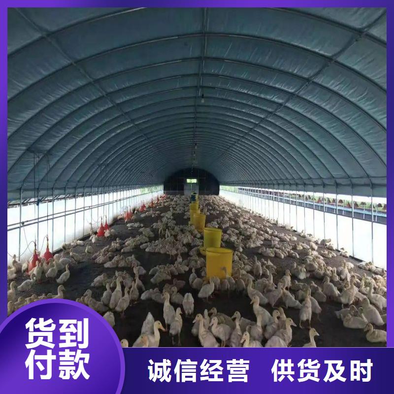 大棚管2_温室大棚管一手货源源头厂家