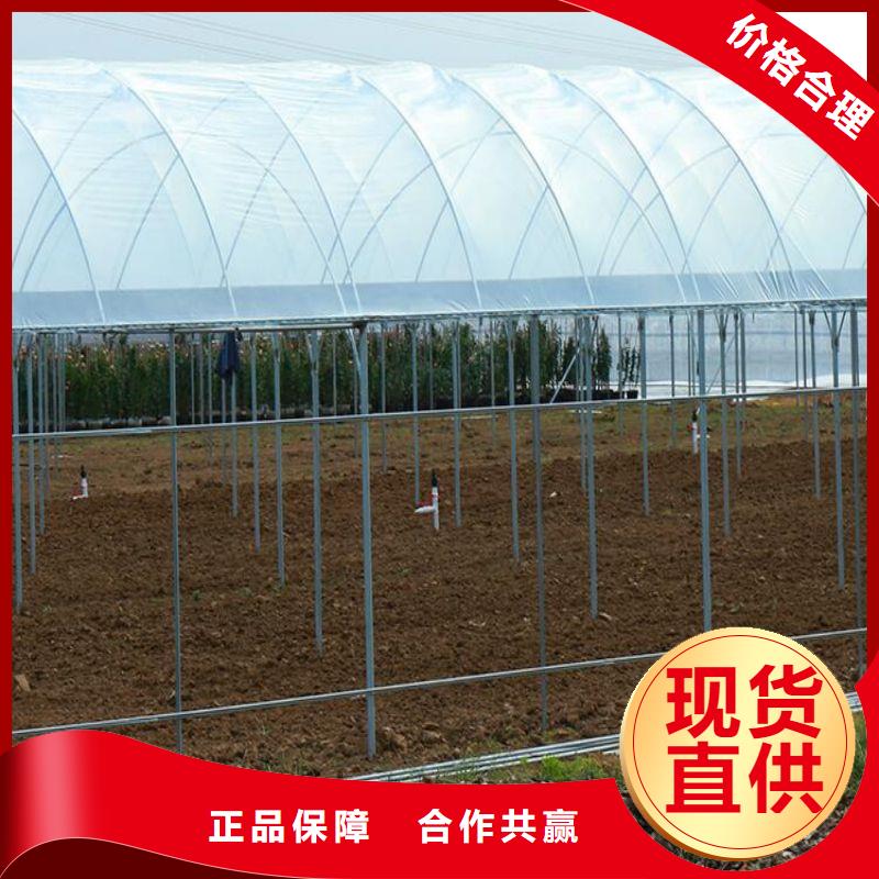 大棚管2方管今日价格