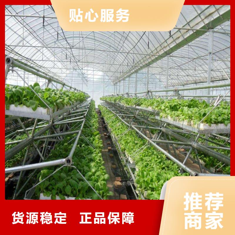 大棚管2大棚管 大棚管一手货源