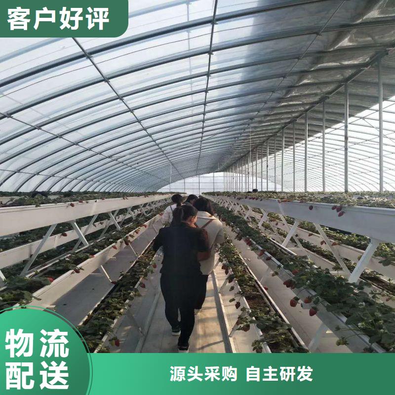 大棚管2大棚骨架厂家直接面向客户