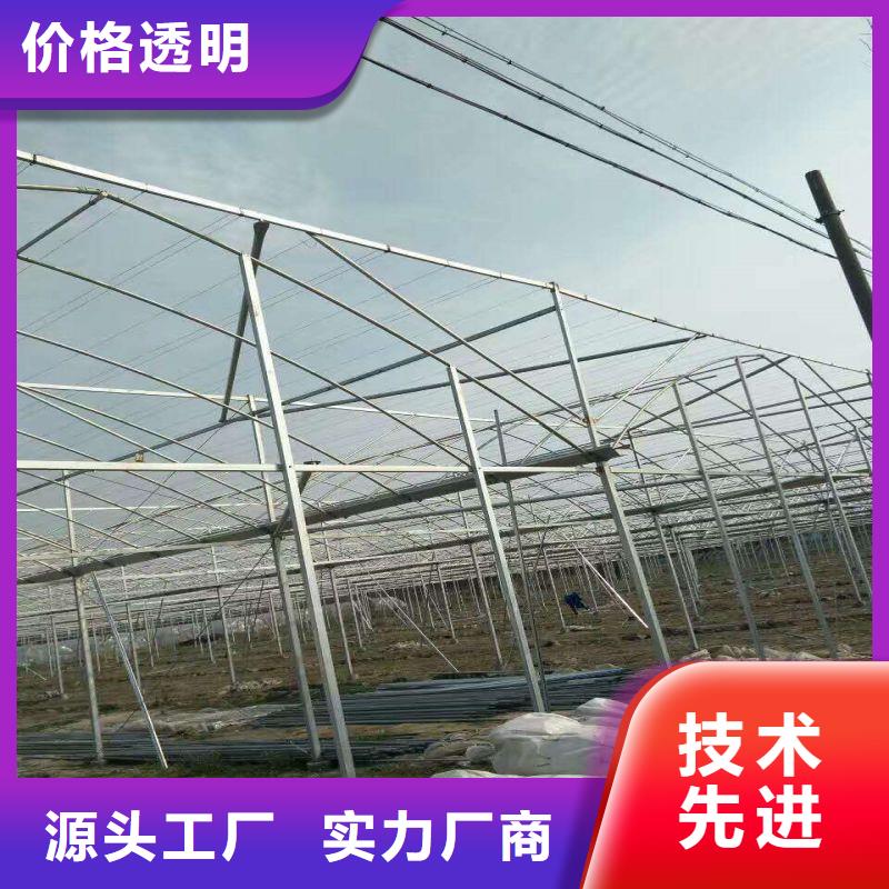 大棚管2_智能温室大棚诚信商家服务热情