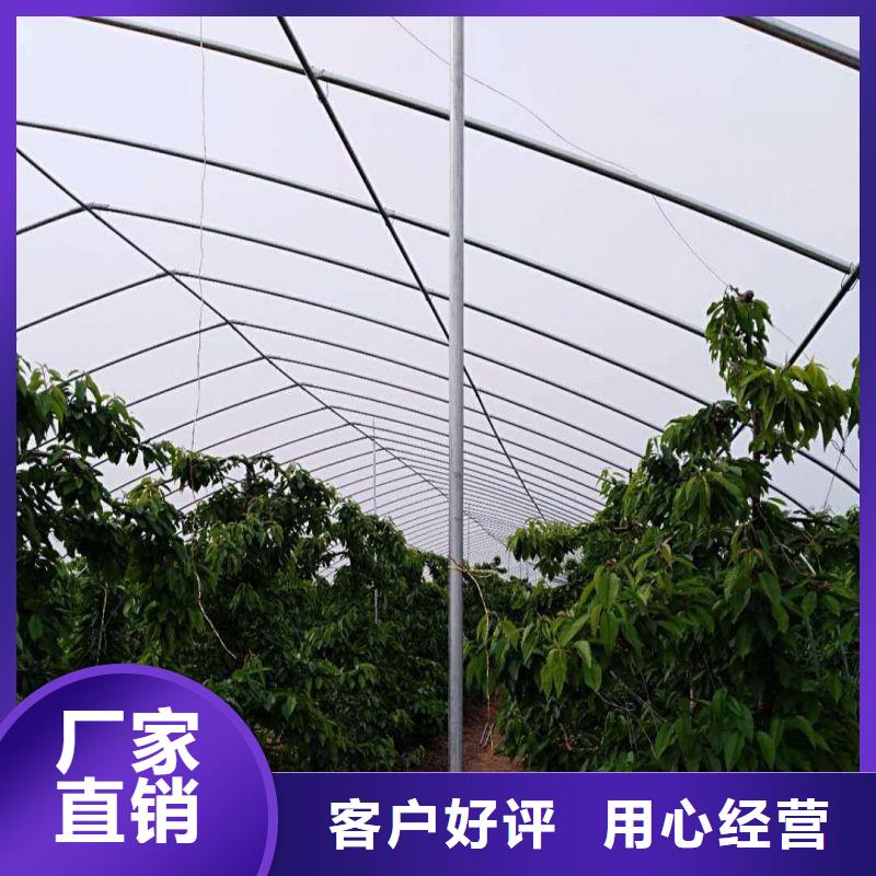 大棚管2方矩管源头厂家量大价优