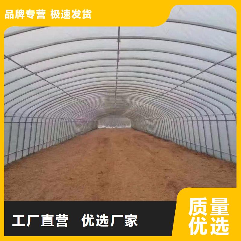 丰南简易骨架钢管
