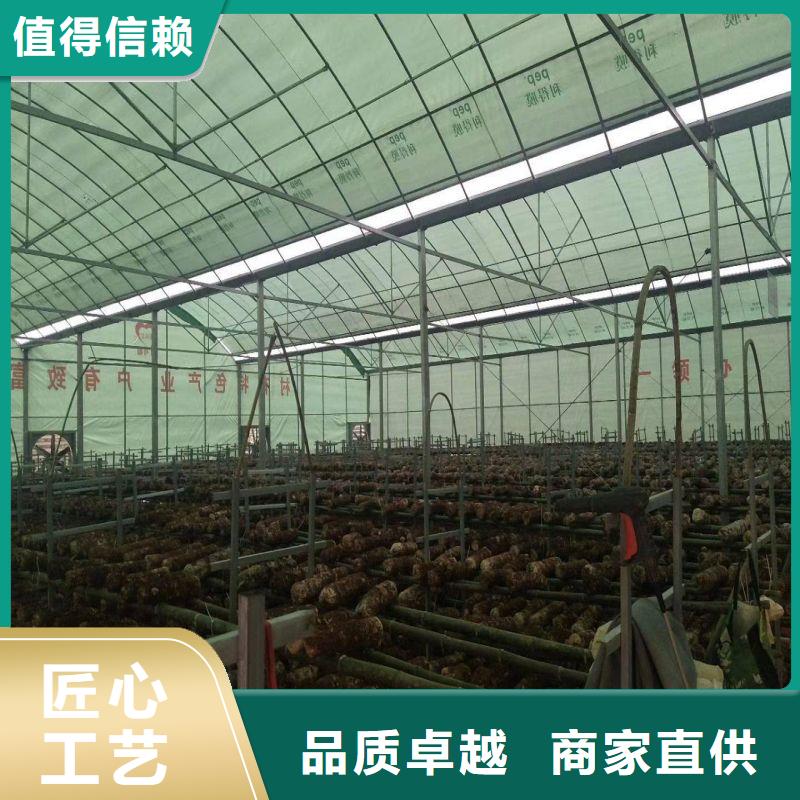 陈村镇草莓养殖大棚管怎么样