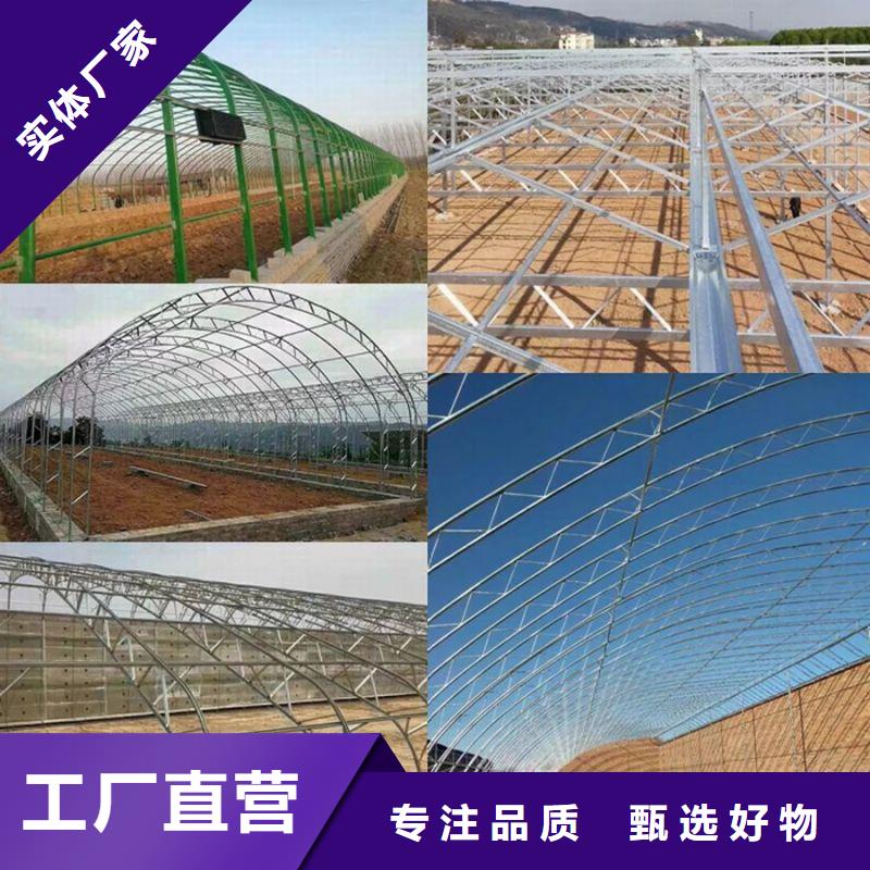 陈村镇草莓养殖大棚管怎么样