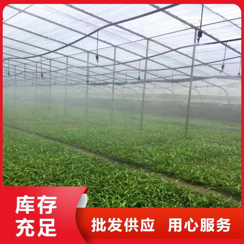 大棚管2温室大棚管厂家实力大