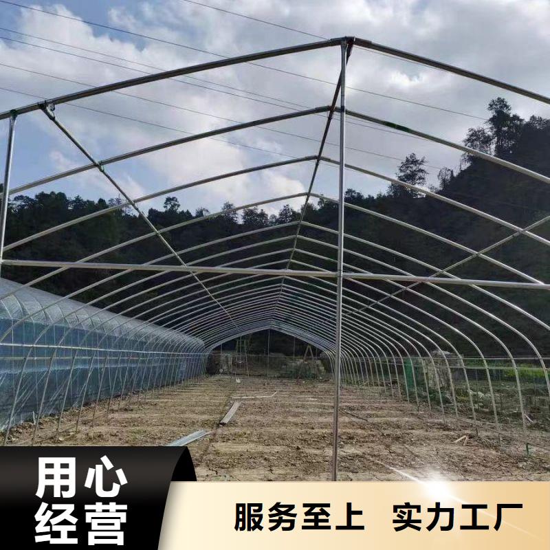 大棚管2温室骨架大棚管让利客户