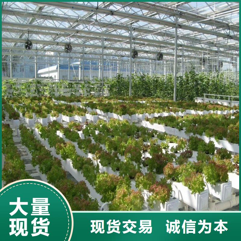 大棚管2方矩管源头厂家量大价优