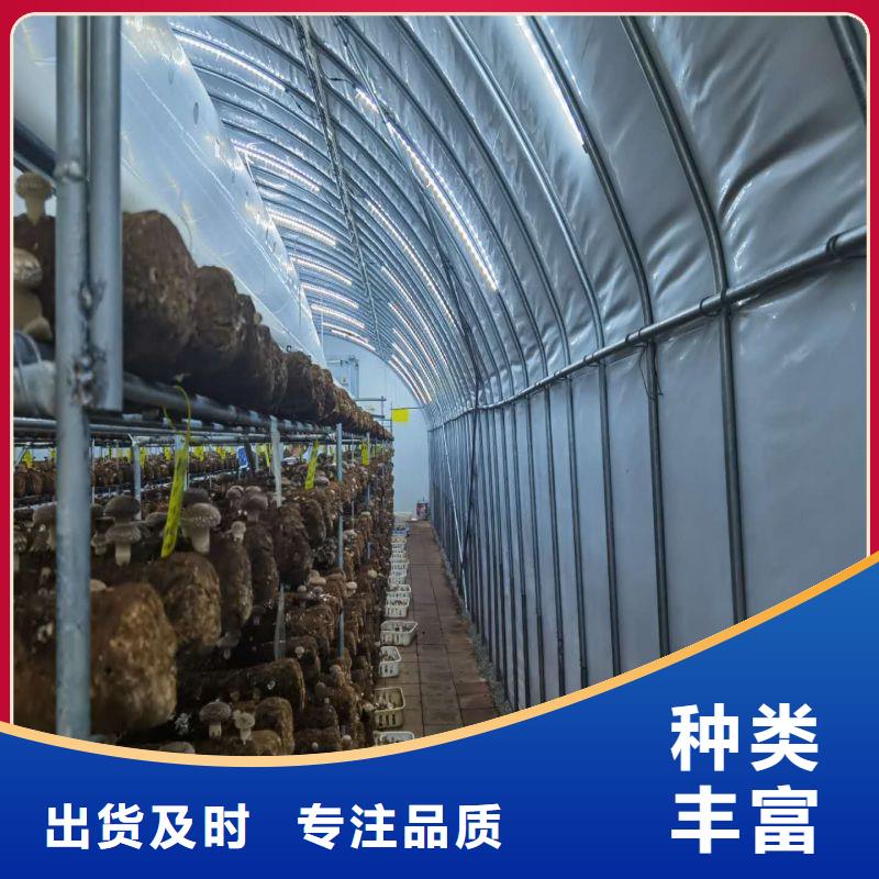 大棚管2镀锌方管精心打造