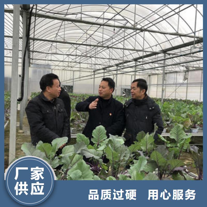 大棚管 椭圆管温室大棚质量安心