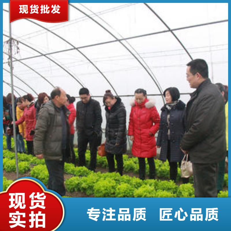  大棚管诚信厂家