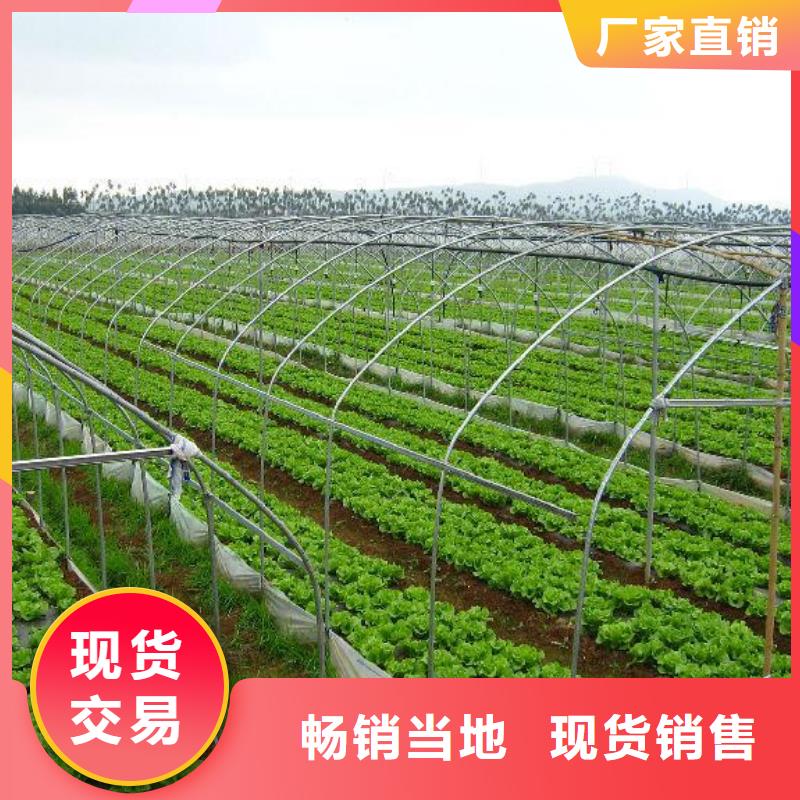 大棚管使用寿命长久