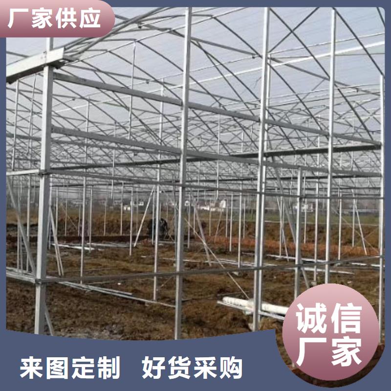大棚管农业养殖大棚管用心做好细节