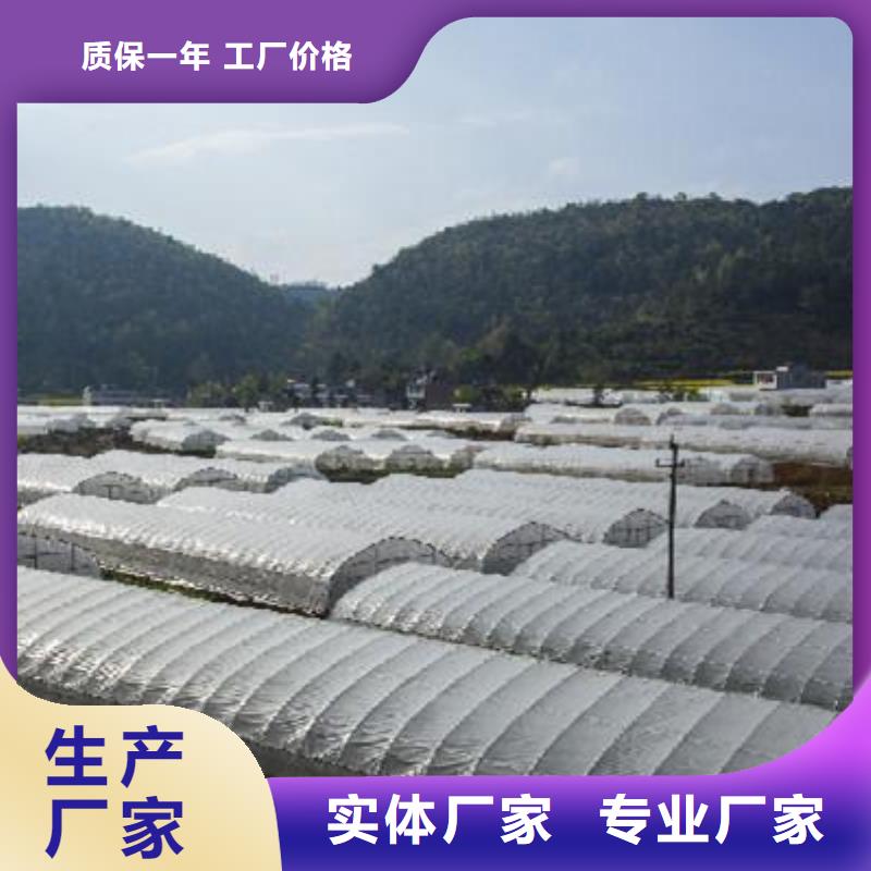大棚管大棚管 大棚管厂诚信经营