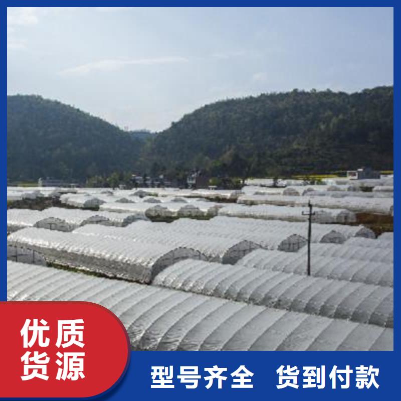大棚管售后无忧