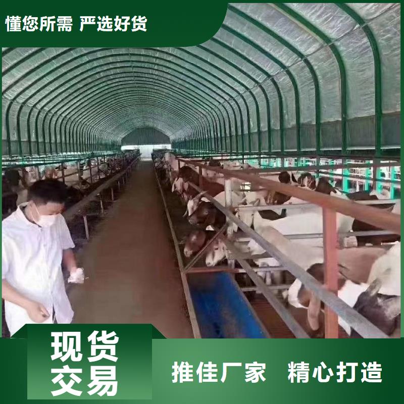 【大棚管,温室大棚管满足您多种采购需求】