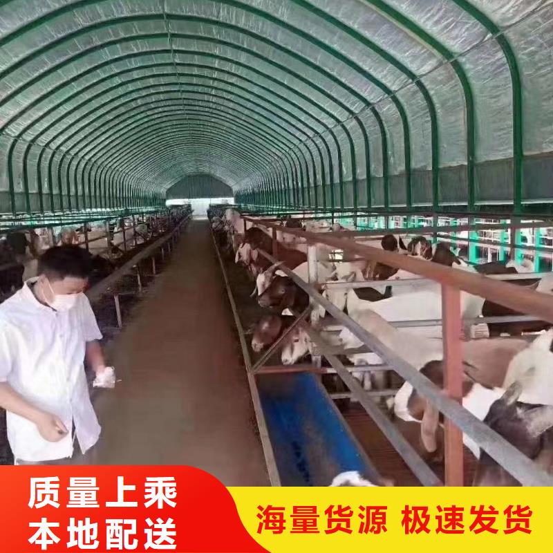 大棚管售后无忧