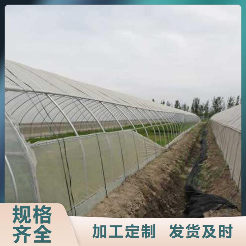 大棚管,农业养殖大棚管实体厂家支持定制