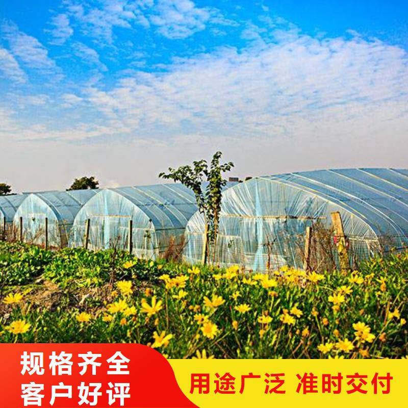 大棚管连体大棚量大从优