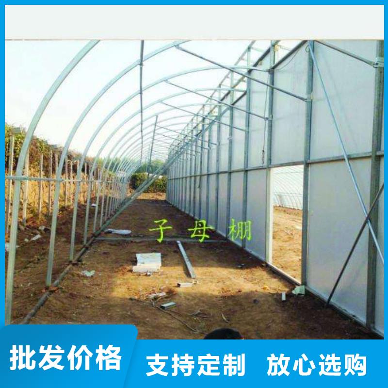 大棚管镀锌大棚管发货迅速