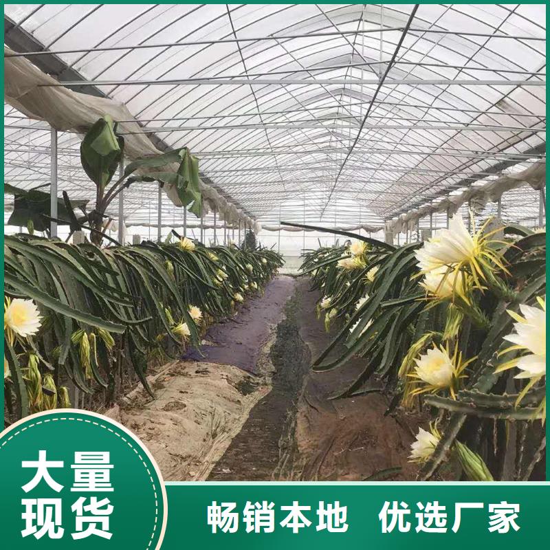 方矩管视频-四川省资阳市|乐至|雁江|乐山|眉山|甘孜|南充|雅安方矩管-泽沃