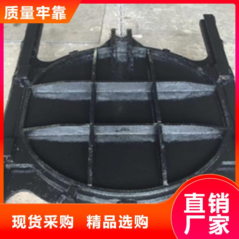 铸铁闸门HZG回转式格栅除污机材质实在