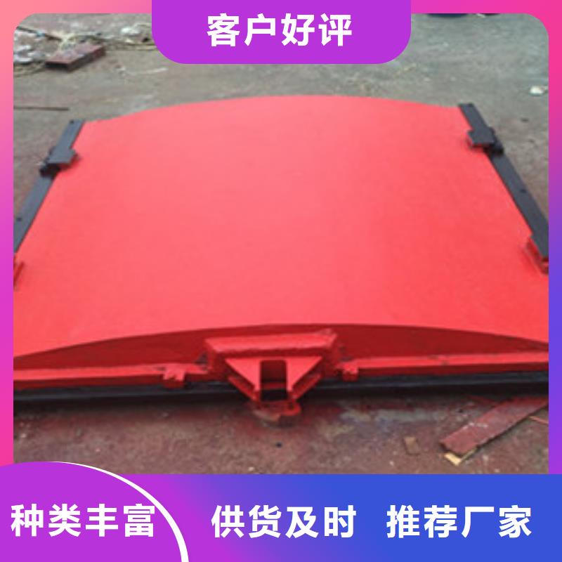 铸铁闸门铸铁镶铜闸门专注细节使用放心