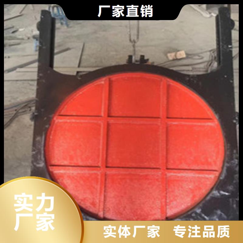 铸铁闸门,移动式卷扬式启闭机懂您所需