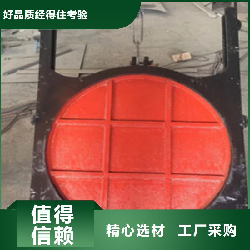 铸铁闸门-GLGS高链式格链除污机优质货源