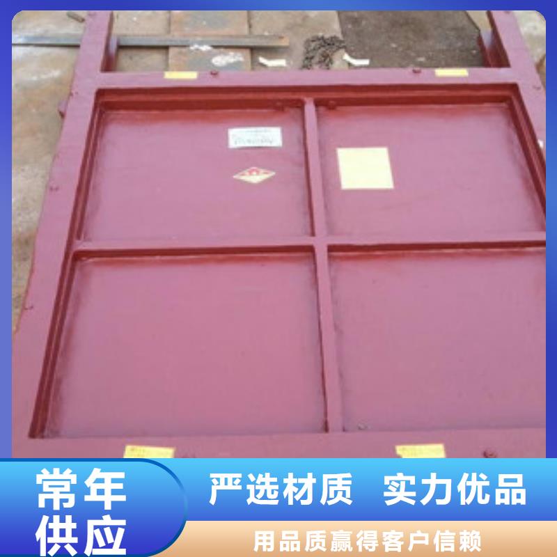 铸铁闸门钢制闸门可定制有保障