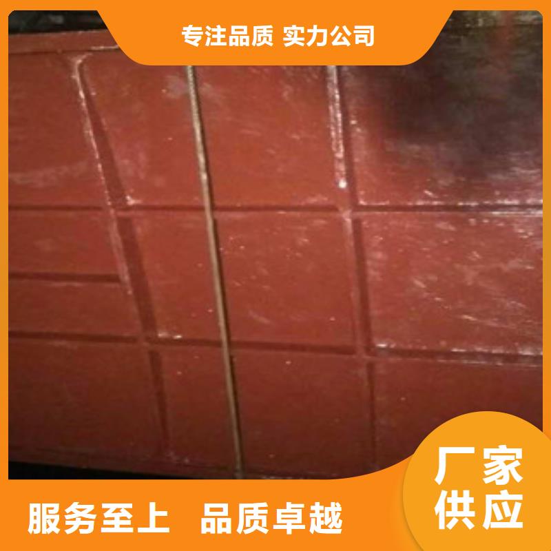 铸铁闸门_双吊点螺杆启闭机精工细致打造