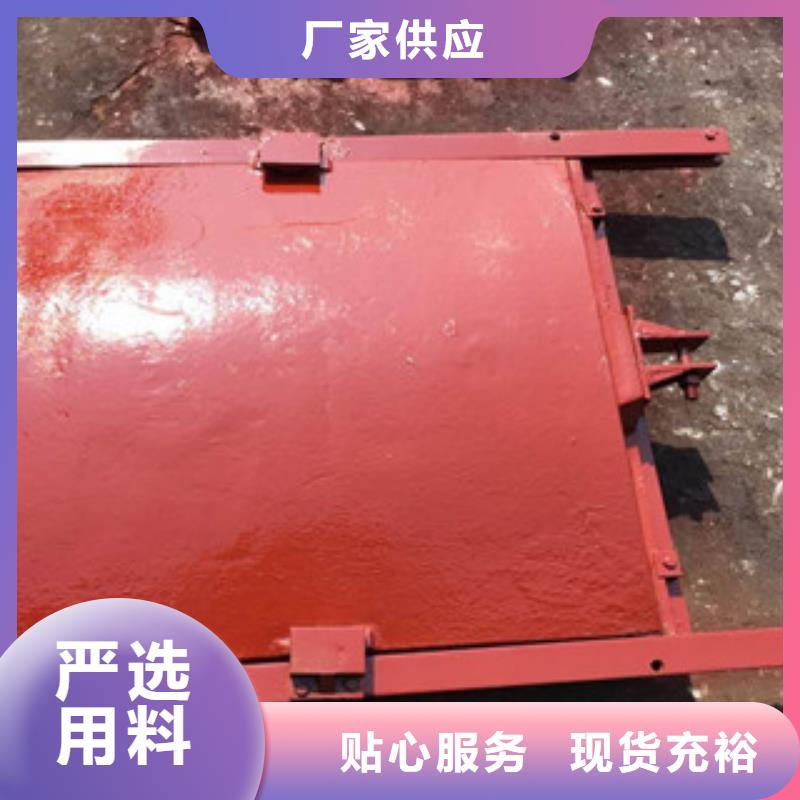 铸铁闸门直联式螺杆启闭机懂您所需