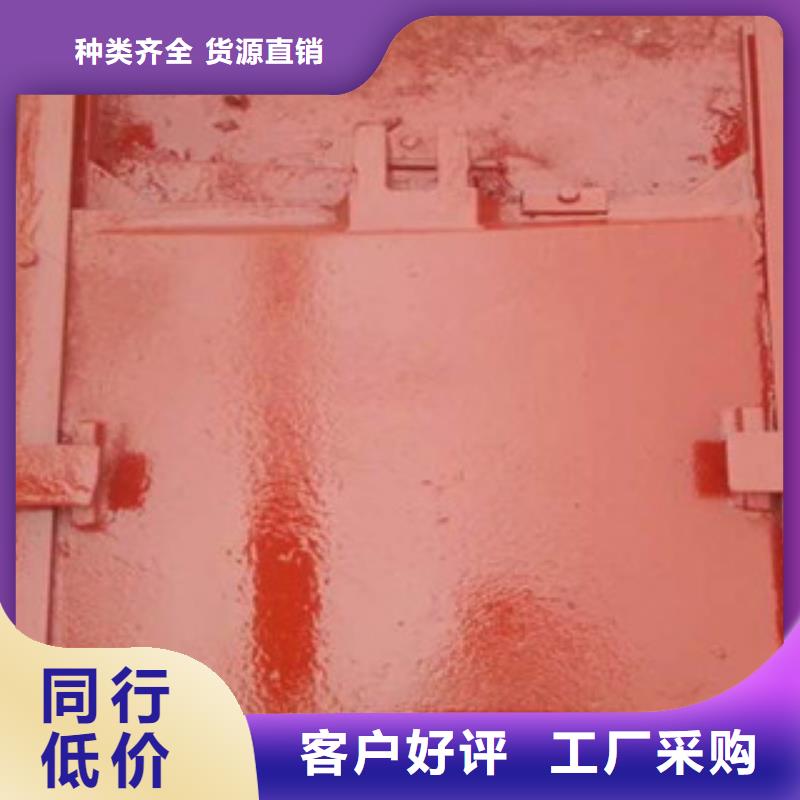 铸铁闸门钢制拍门源头厂家来图定制