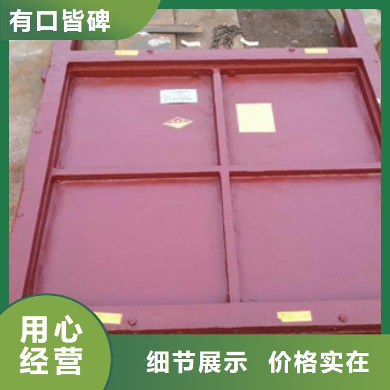 铸铁闸门-GLGS高链式格链除污机优质货源