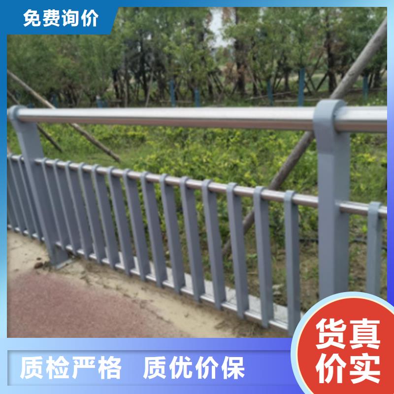 护栏网围栏网厂家销售