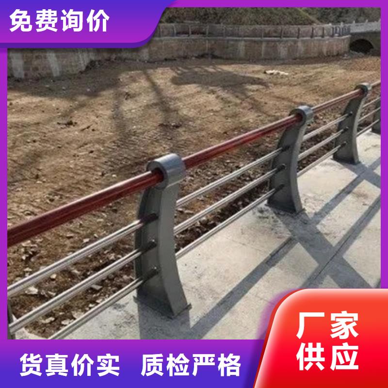 钢丝绳护栏-踏踏实实做产品