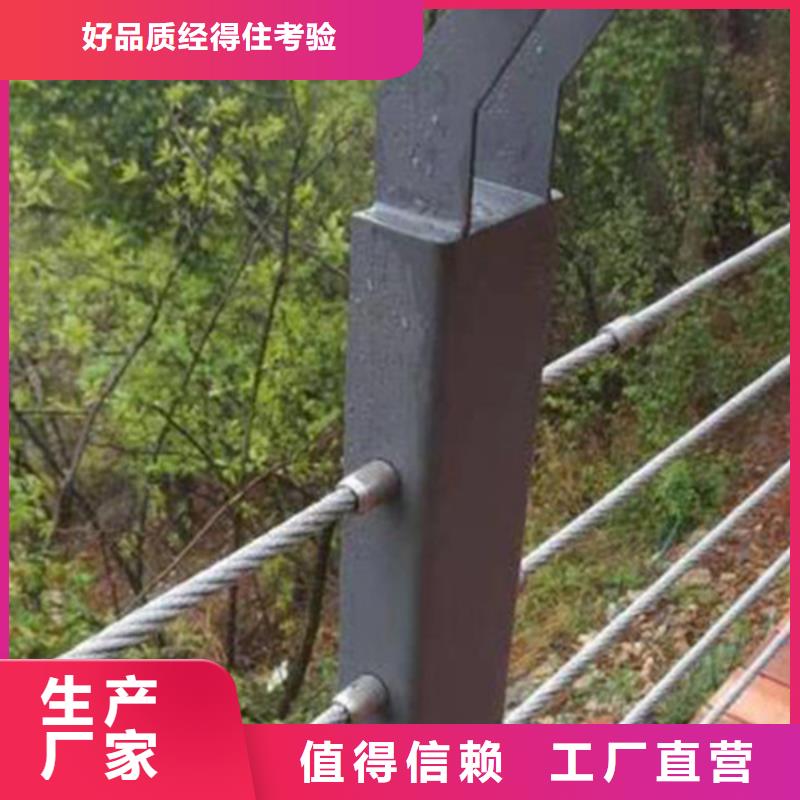 园景区山路钢丝绳护栏-可送货上门