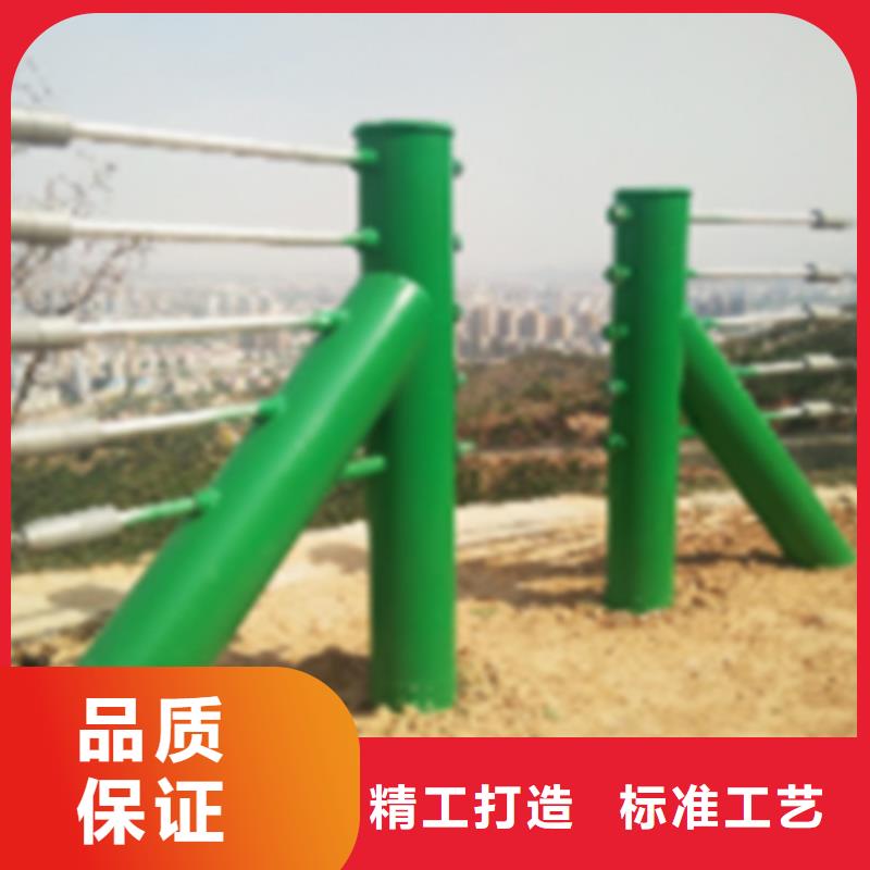 不锈钢绳网		出厂价