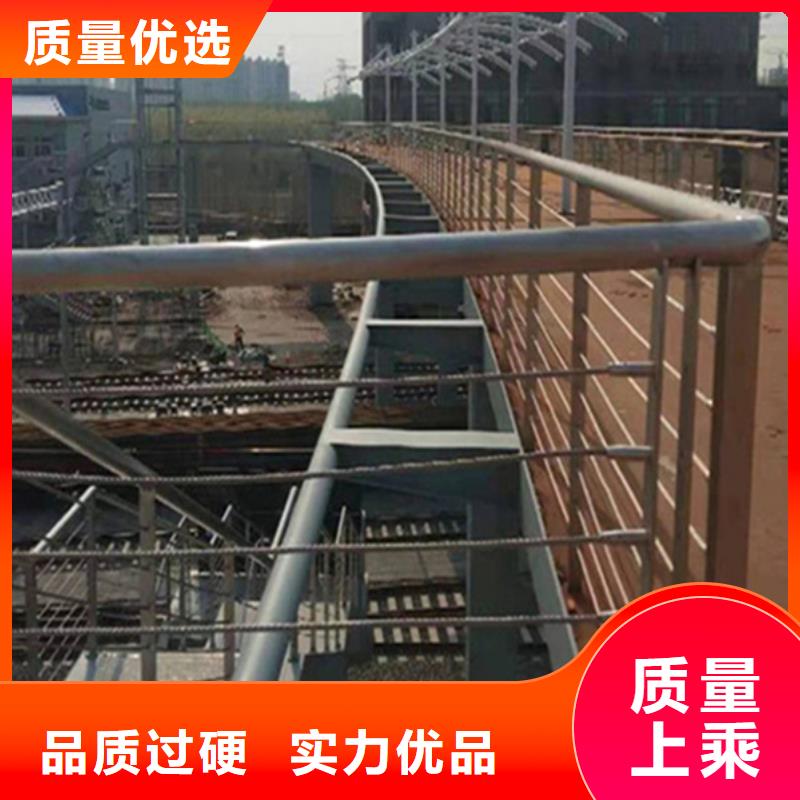 不锈钢绳网		出厂价
