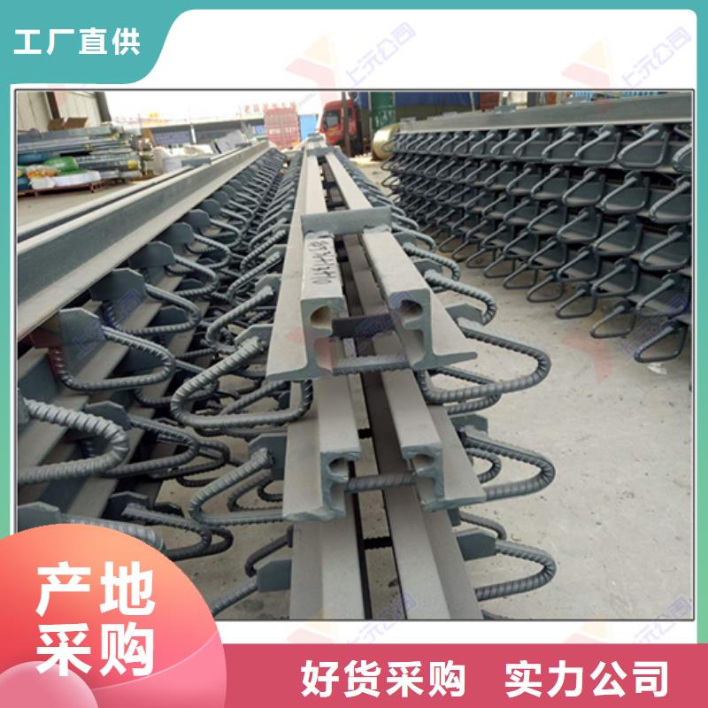 桥梁伸缩缝,连廊支座精工细作品质优良