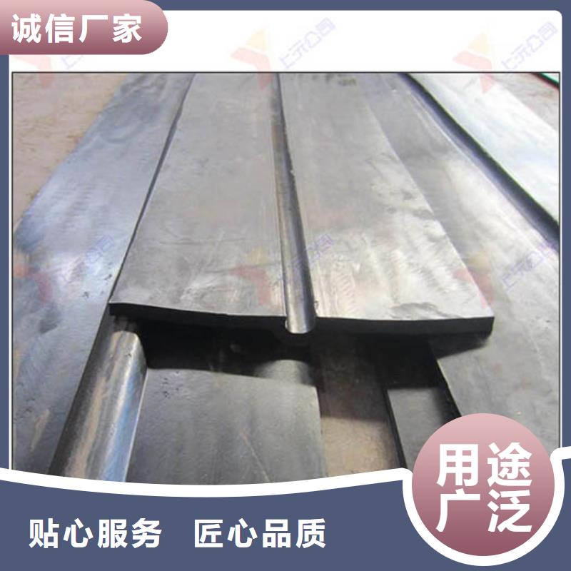 橡胶止水带_桁架支座源头把关放心选购