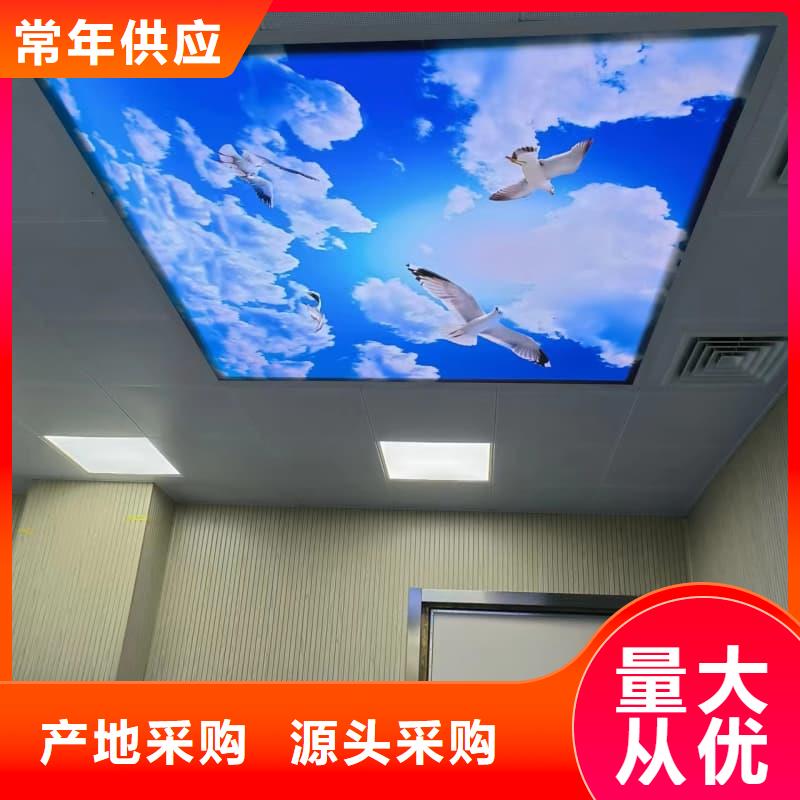 电动防护铅门价格便宜